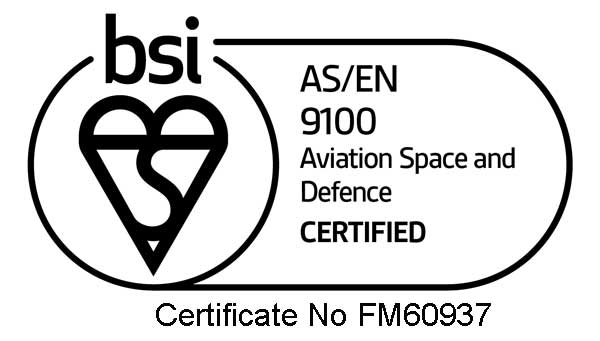 BSI-9100-LOGO-2024